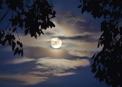 Vollmond hinter Wolken und Weidenblätter