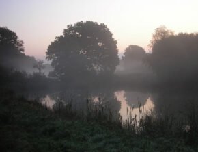 spiegelglatter Teich in der Morgendämmerung in Westensee in Schleswig-Holstein