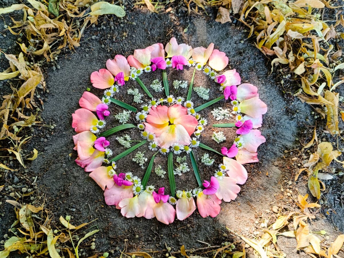 Mandala aus Blütenblättern auf Waldboden