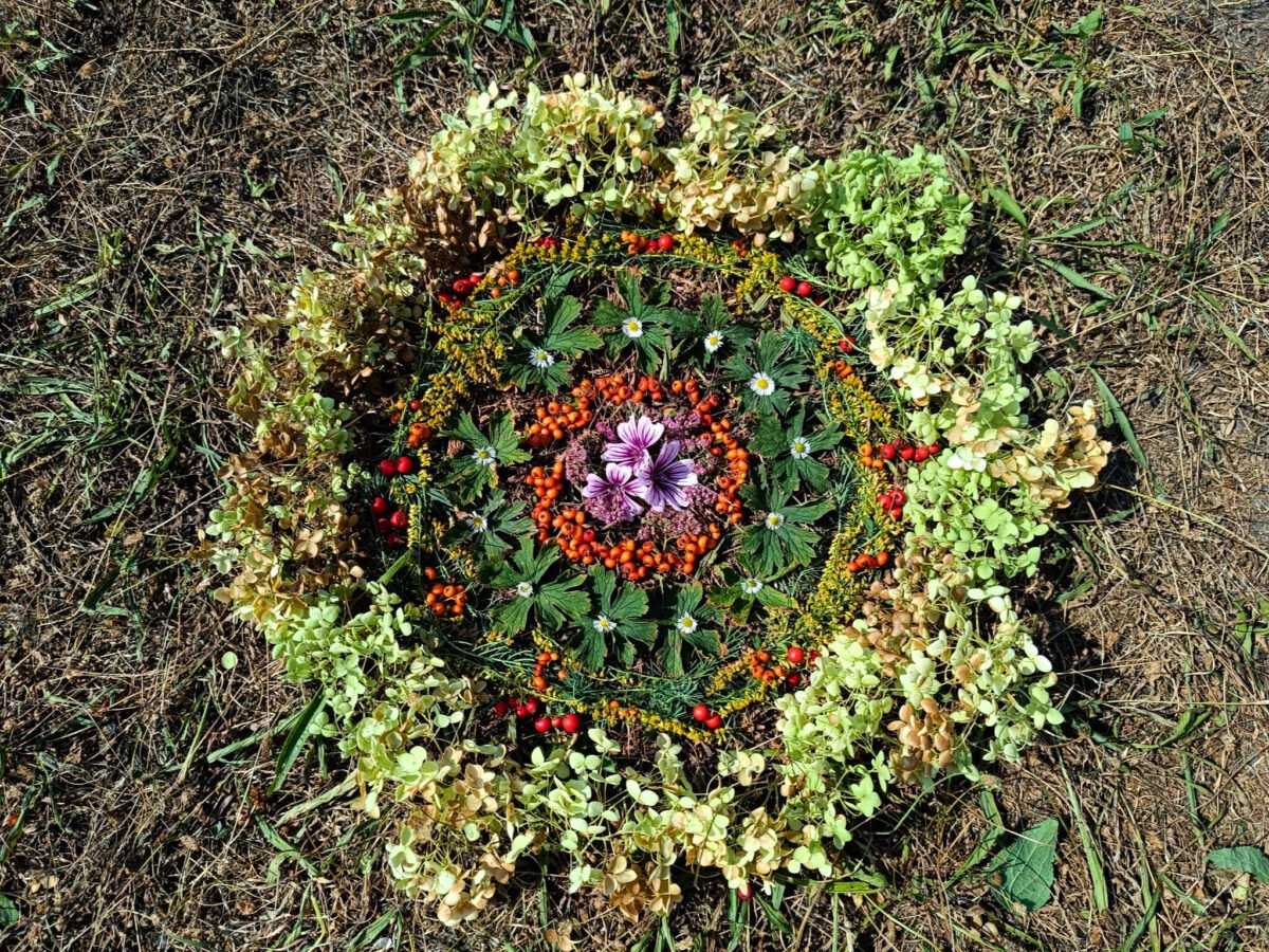 Mandala aus Blüten, Blättern und Beeren auf einer trockenen Wiese