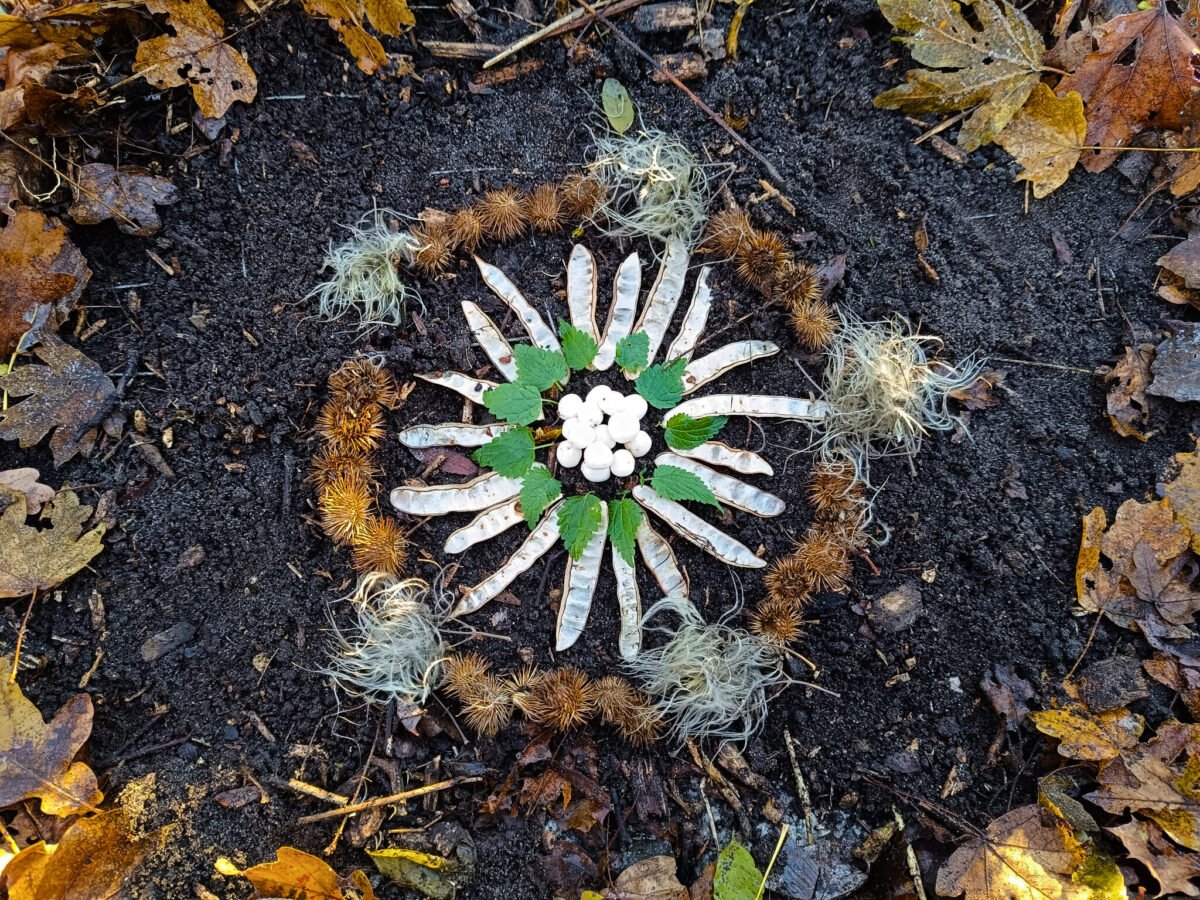 Mandala aus Kletten, Blättern, Schoten, Knallerbsen und den Früchten der Clematis