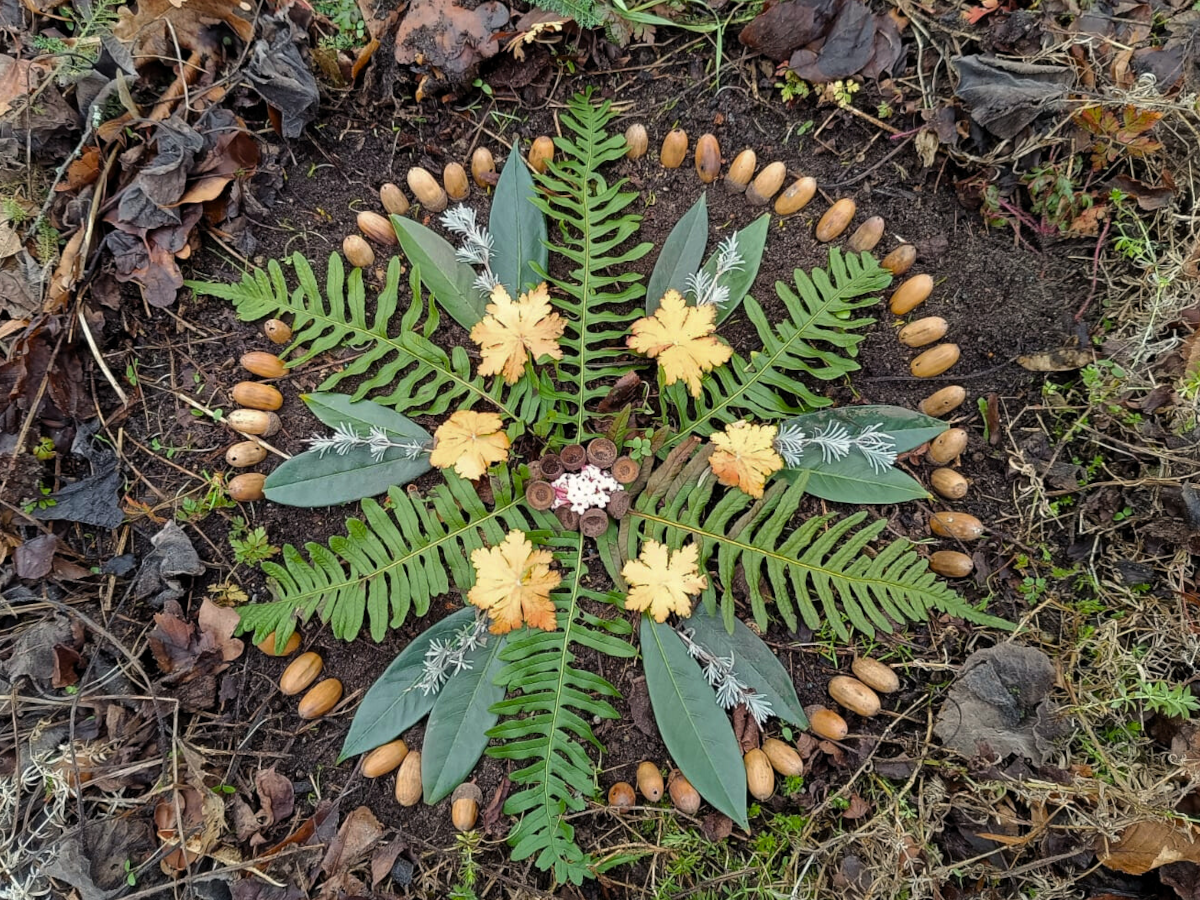 Mandala aus Eicheln, Farn, Blüten, Zweigen und Blättern