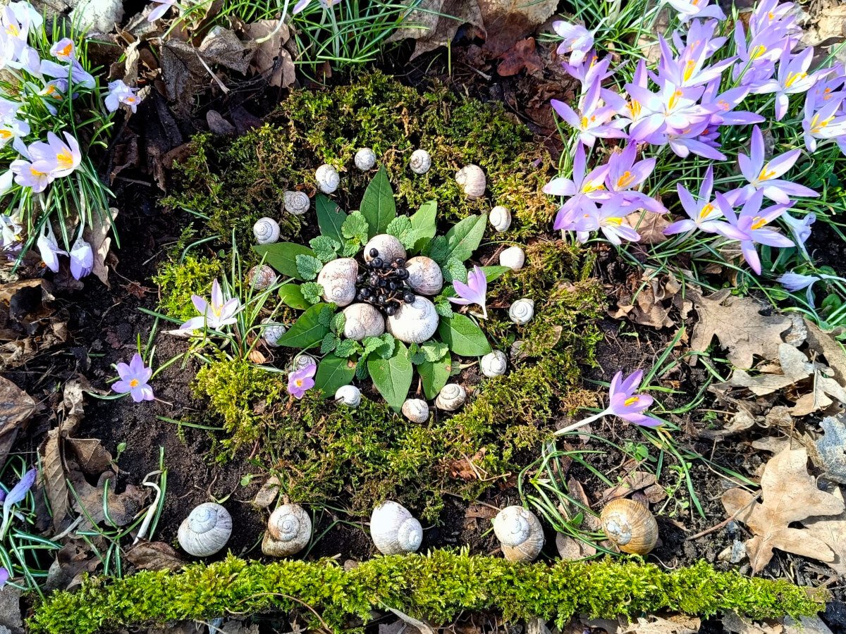Ein Mandala aus Moos, Schneckenhäusern, Blättern und Beeren
